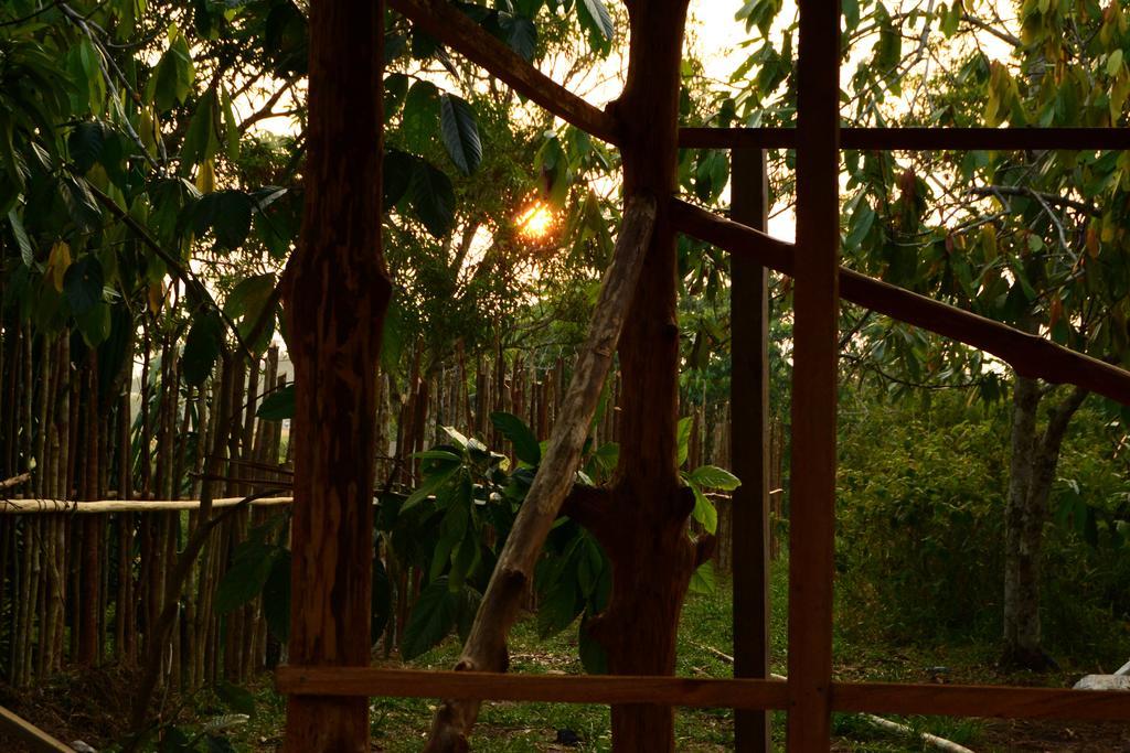 Xingu Camping Site Λετίσια Εξωτερικό φωτογραφία