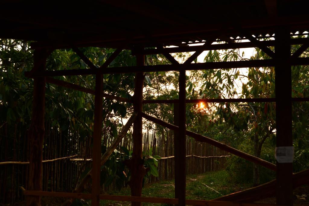 Xingu Camping Site Λετίσια Εξωτερικό φωτογραφία