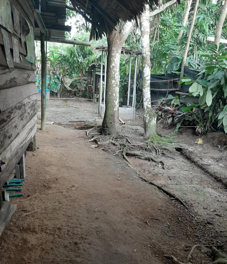 Xingu Camping Site Λετίσια Εξωτερικό φωτογραφία